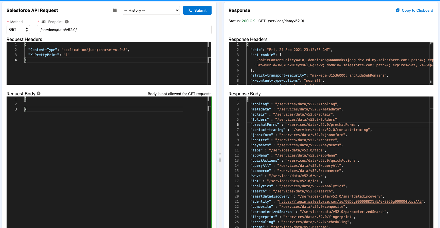 Salesforce api page screenshot